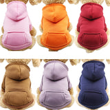 New Pet dog coat jackets Winter