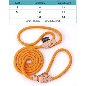 Reflective Dog Leash