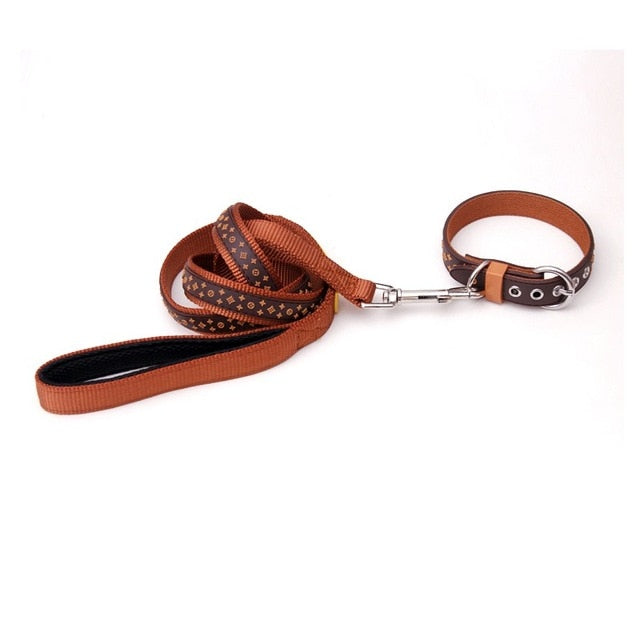 COLLAR