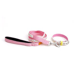 COLLAR