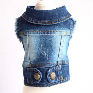 New 2019 Denim Pet Dog Clothes