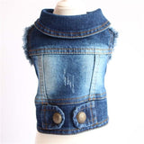 New 2019 Denim Pet Dog Clothes