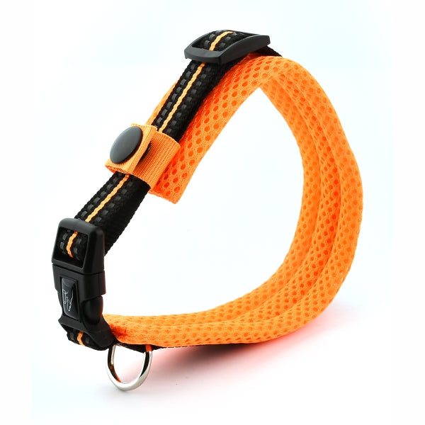2019 New Nylon Dog Collars Comfortable