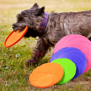 2019 Best selling Pet