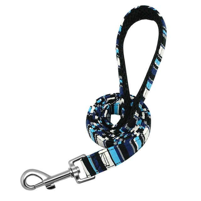4ft Fashion Pattern Dog