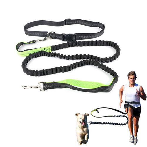 Elastic Waist Dog Leash for Running Jogging Sports