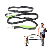 Elastic Waist Dog Leash for Running Jogging Sports