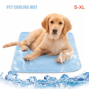 Summer Pet