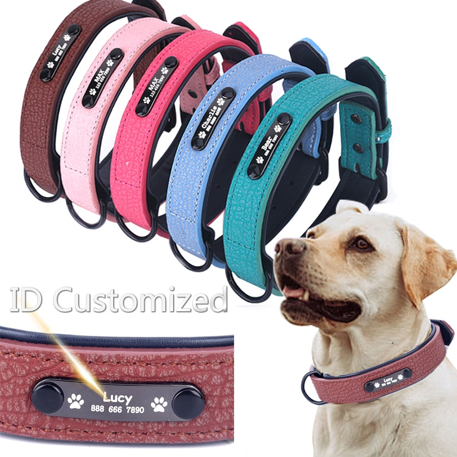Personalized Dog Collars