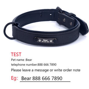 Personalized Dog Collars