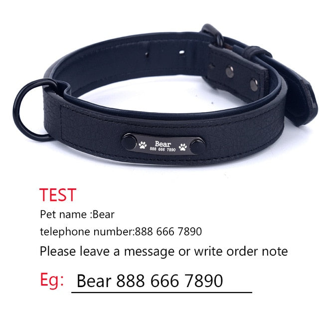 Personalized Dog Collars