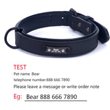 Personalized Dog Collars