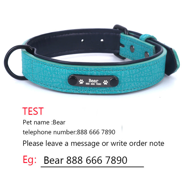 Personalized Dog Collars