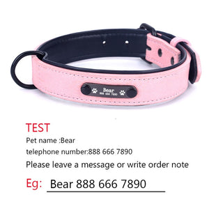 Personalized Dog Collars