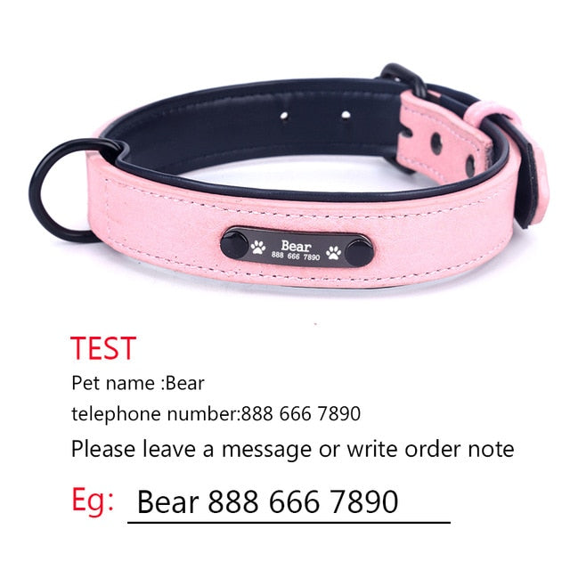 Personalized Dog Collars