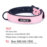 Personalized Dog Collars