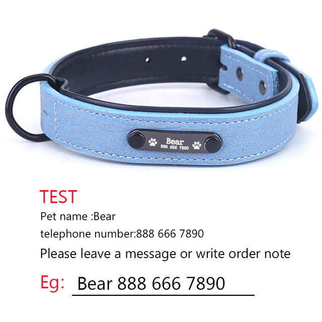 Personalized Dog Collars