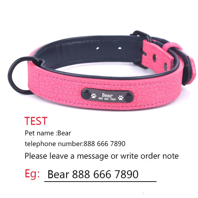 Personalized Dog Collars