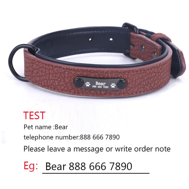 Personalized Dog Collars