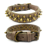 Punk Spiked Pet Dog Collar