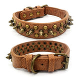 Punk Spiked Pet Dog Collar